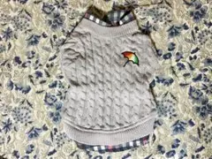 Item thumbnail for item bd205c01-58d4-4dae-8ab8-a465ada4b17f