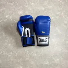 Everlast EverFresh 14oz Boxing Gloves