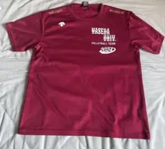 早稲田大学　男子バレーボール部　練習着　Tシャツ　早稲田　バレーボール　バレー