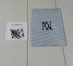 Item thumbnail for item 6d143922-e721-4565-bc31-78867c95b614