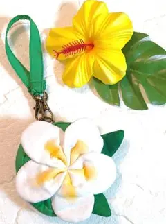 Item thumbnail for item 6b227287-ff42-44c7-bf45-2396e37fca0d