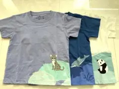 無印 良品 Tシャツ 3枚セット 100cm