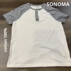 SONOMA ヘンリーネック Tシャツ L 綿100%