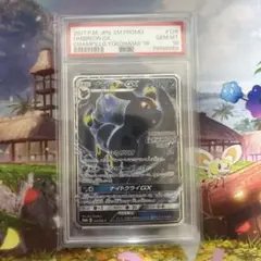ブラッキー　ニンフィアGX　PSA10 チャンピオンズリーグ2018&2019 ポケモンカード ブラッキーgx ニンフィアgx psa10 連番
