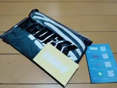 Item thumbnail for item 3983d250-d941-4bfa-bb0f-91133715ebe4