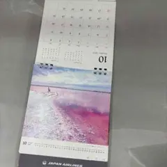 2023年 JAPAN AIRLINES 10月カレンダー
