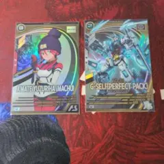 アマテュースリハ（マチュ）&G-セルパーフェクトパック 2枚セット