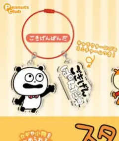 Item thumbnail for item 99b7c436-7ffe-44b5-87d1-e061e9692f07