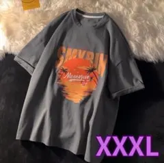 大きいサイズ サマーTシャツ グレー ファッション 【トレンド】メンズ XXXL