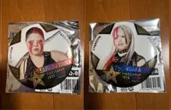 スターダム ランダム缶バッジ H.A.T.E. 刀羅ナツコ 琉悪夏　2個セット