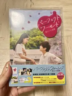 パーフェクトワールド 君といる奇跡 DVD 初回限定生産