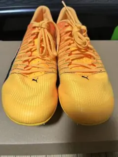 Puma エヴォスピード ブラッシュ6 25.5