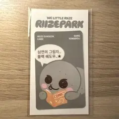 RIIZE ウンソク カードカバーステッカー