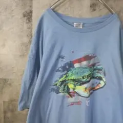 半袖TシャツUSA古着ビッグオーバーサイズライトブルーXL　A13,75