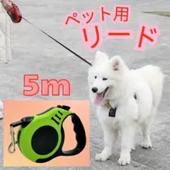 Item thumbnail for item c49a1ca1-53aa-4237-946e-363d9394ec65