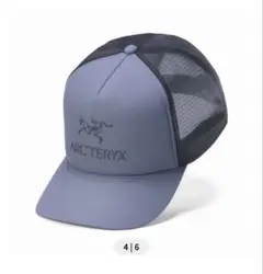 Bird Word Trucker Curved
