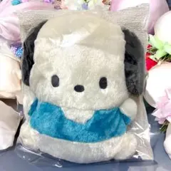 サンリオ　ポチャッコぬいぐるみ　美品