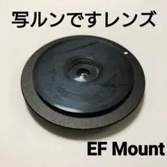 Item thumbnail for item 6629175d-d827-45b2-8f44-03c345745519