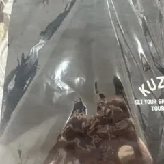 Item thumbnail for item 971ca842-0b34-4a79-9c6e-798f1369ec96