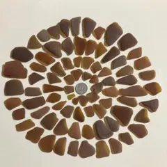 シーグラス　ブラウン　人気　48