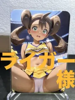 ライガー様 リクエスト 5点 まとめ商品