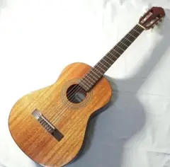 SAMICK　AOM-2　アコースティック ミニギター　トップ単板仕様！ SAMICK AOM-2 アコースティック ミニギター トップ単板仕様