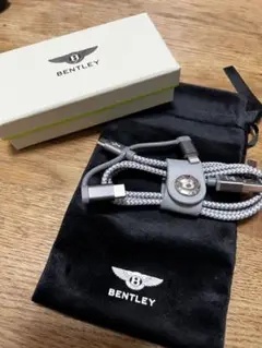 ベントレー Bentley 充電ケーブル(変換プラグ付き)
