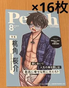 桃角桜介 16枚セット両面イラストカード【新品】TSUTAYA限定特典2025