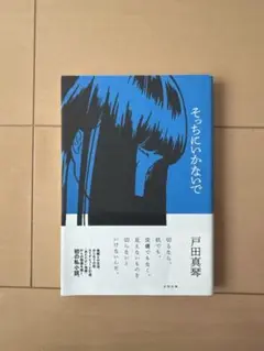 そっちにいかないで 戸田真琴著