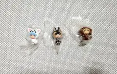銀魂 きゃん魂すこっと