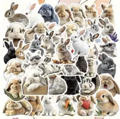 Item thumbnail for item ece06600-ff42-415e-9f3b-cbd565cfde38