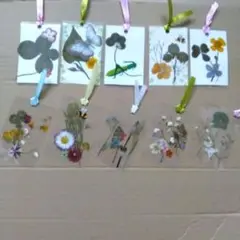 四つ葉♡五つ葉☆草花の押し花ラミネート☆四つ葉のしおり☆ハンドメイド☆しおり