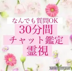 【今だけ特価!!】❁30分間占い放題チャット霊視鑑定❁ 鑑定書発送