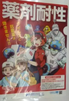 はたらく細胞　クリアファイル