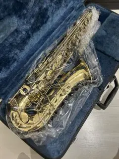【★超目玉】 m78888901308_1.jpg?1715685012 管楽器・吹奏楽器
