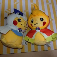 2025年最新】ホウオウポンチョ ピカチュウの人気アイテム - メルカリ