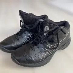 Item thumbnail for item 2811449b-8be7-446a-a4b1-7473884c2f4c