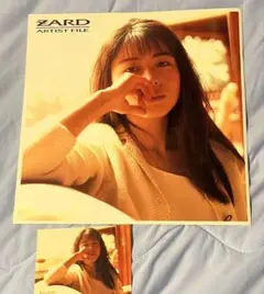 ZARD ARTIST FILE
