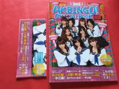 AKB IN GO!オフィシャルBOOK(帯付き)傷み無し