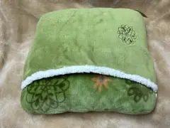 Item thumbnail for item 80e1a20e-4809-40f0-9197-ff18f39ddd9c