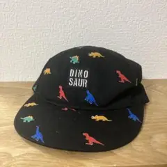 恐竜柄キャップ DINO SAUR スナップバック　52am