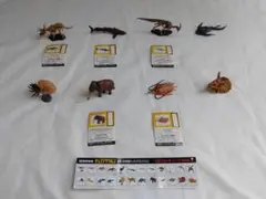 Item thumbnail for item e099be7a-805a-4ffd-9ff9-954dbded3562