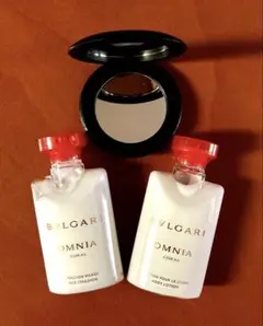 Item thumbnail for item 6f3b9998-f8c4-4230-a8e1-0934ac331fa4