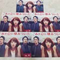 きみが心に棲みついた DVD 吉岡里帆 向井理 桐谷健太 レンタル落ち
