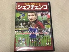 サッカーベストシーン　シェフチェンコ　DVD ウクライナ代表