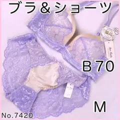 ブラジャーショーツセットＢ70 No.7420