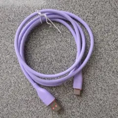 USB タイプCケーブル1mパープル