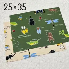 ランチョンマット 25×35 2枚セット　昆虫柄　男の子用　男児　むし　給食用