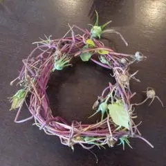 Item thumbnail for item dc32c2a5-2218-49b5-b188-09c5fec529a0