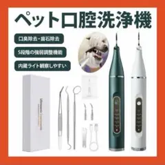 Item thumbnail for item 65fe8c5a-b64b-4dd3-a26f-752ef5237d6e